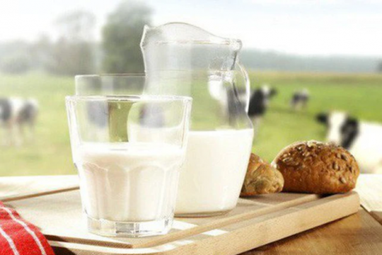 Một doanh nghiệp sữa hoàn thành 79% kế hoạch sau 9 tháng, sắp chi 110 tỷ đồng trả cổ tức