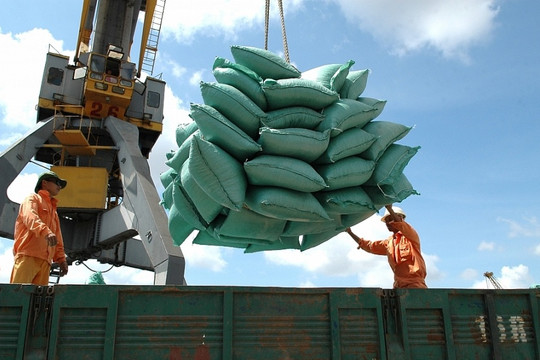 Mở rộng thị trường, gia tăng giá trị cho hạt gạo Việt