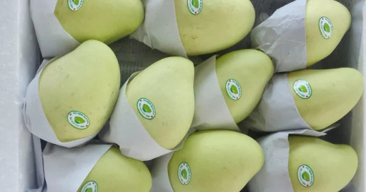 Loại quả Việt Nam được cựu Đại sứ Mỹ khen “ngon nhất thế giới”, chứa vitamin A gấp 60 lần táo, hỗ trợ giảm cân