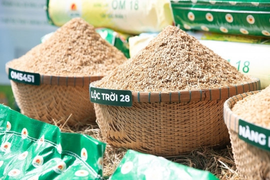 Lộc Trời (LTG) triển khai kế hoạch liên kết sản xuất 300.000ha lúa