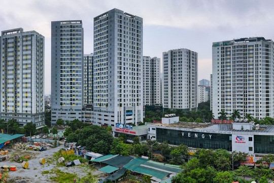 Quy hoạch 7 ô đất xây trường công lập ở quận đông dân nhất Hà Nội