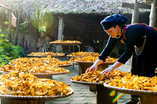 Người phụ nữ Tày 20 năm bảo tồn văn hoá truyền thống, làm du lịch cộng đồng