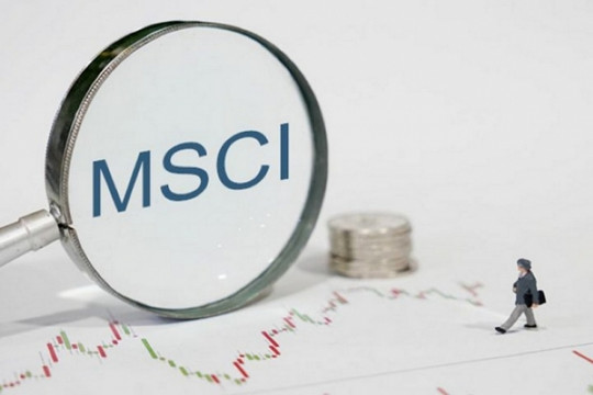 CEO cùng 5 cổ phiếu Việt Nam được thêm vào rổ MSCI