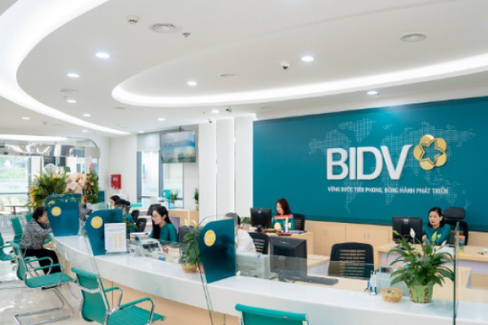 Đại gia Nam Định vừa bị BIDV siết nợ hơn 750 tỷ đồng