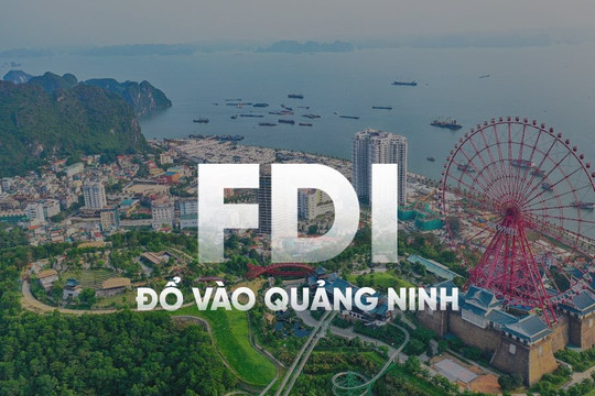 Danh tính những "đại gia" ngoại đưa Quảng Ninh lên top 1 thu hút FDI 10 tháng đầu năm