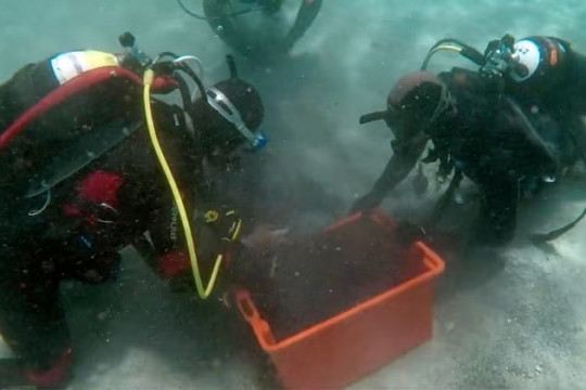 Phát hiện 50.000 mảnh kim loại dưới biển sâu, người đàn ông bất ngờ tìm ra "kho báu cổ" tồn tại hàng nghìn năm