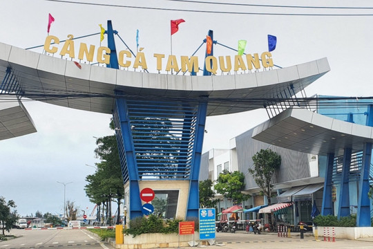 Quảng Nam đầu tư hơn 130 tỷ đồng xây dựng cảng cá Tam Quang