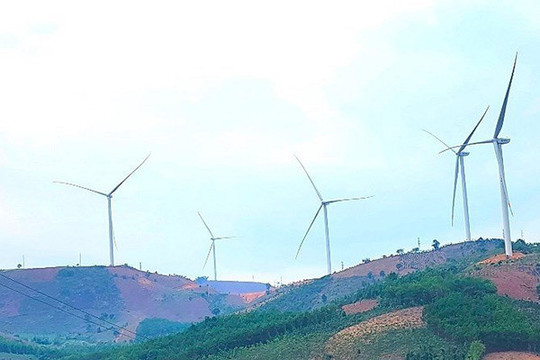 Chiếm đất làm dự án điện gió gần 1.900 tỷ đồng, doanh nghiệp liên tiếp bị phạt