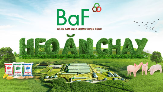 Nông nghiệp BaF muốn chào bán 68 triệu cổ phiếu riêng lẻ, giá bán thấp hơn 61% thị giá