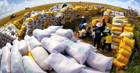 Quốc gia từng giàu hàng đầu châu lục nay phải nhập khẩu hàng triệu tấn gạo Việt Nam, là "xứ sở đảo quốc" với hơn 7.000 hòn đảo lớn nhỏ hút tín đồ du lịch khắp thế giới