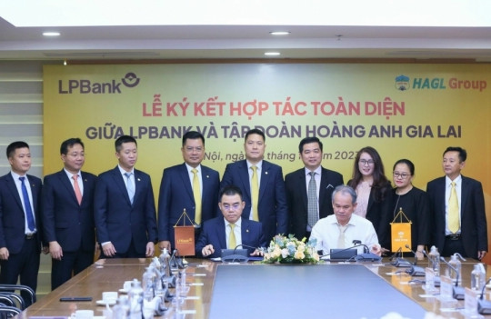Hậu hợp tác giữa LPBank và Hoàng Anh Gia Lai, Chứng khoán LPBS dự mua 50 triệu cổ phiếu HAG