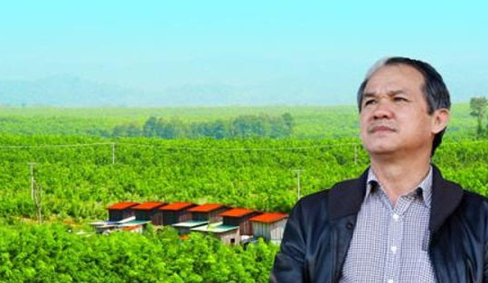 Cổ phiếu Hoàng Anh Gia Lai của Bầu Đức ngược dòng, bất động sản giảm sâu