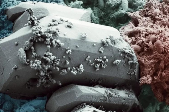 Công nghệ sinh học tạo ra loại bê tông mới có thể tự vá các vết nứt