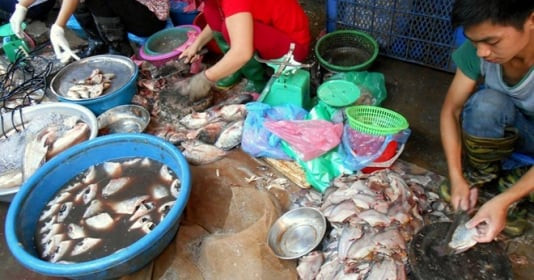 3 loại hải sản vừa là ổ chứa ký sinh trùng vừa giàu kim loại nặng được bán nhiều ở chợ Việt, người bán biết rõ nên không bao giờ ăn