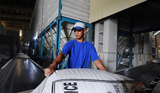 Xuất khẩu lập kỷ lục 4,4 tỷ USD, gạo Việt Nam trước ngưỡng cửa mới