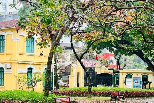 Một trường công lập ở Hà Nội có thể trở thành trường THPT chuyên: Vẻ cổ kính hút hồn chính khách, là 'cái nôi' của những nhà thơ, nhà văn nổi tiếng Việt Nam
