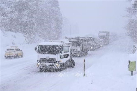 Đức: 760 chuyến bay bị hủy do tuyết rơi dày kỷ lục
