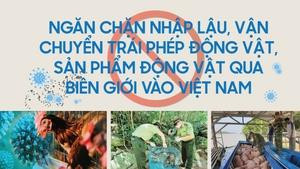 Infographics: Ngăn chặn nhập lậu, vận chuyển trái phép động vật, sản phẩm động vật qua biên giới vào Việt Nam
