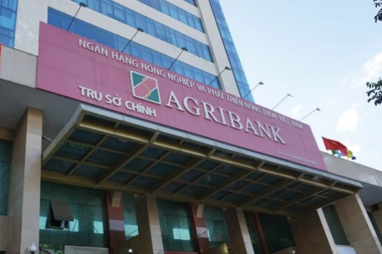 Agribank bán đấu giá lần 6 khoản nợ của các doanh nghiệp có liên quan đến Tập đoàn Tân Hoàng Minh