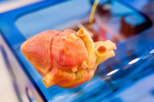 In 3D trực tiếp trên cơ thể sống có thể là cuộc cách mạng trong khoa học và y tế