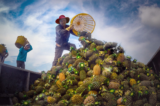 5 loại nông sản Việt được khách Trung Quốc yêu thích, xuất khẩu thu về tỷ USD