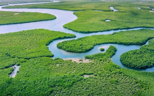 Đâu mới thực sự là con sông dài nhất thế giới?