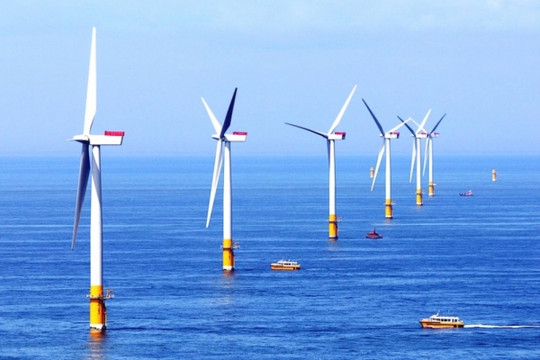 Trung Nam Group bắt tay ông lớn Trung Quốc làm cụm dự án điện gió 916 MW