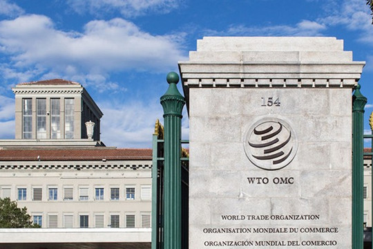 Đàm phán các quy tắc thương mại điện tử tại WTO đạt tiến triển mạnh mẽ