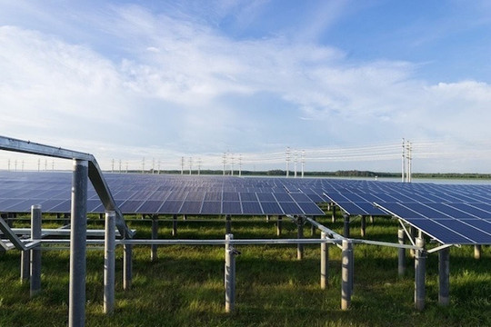 Điểm tên loạt doanh nghiệp xây dự án điện mặt trời khi chưa được thuê đất tại Long An