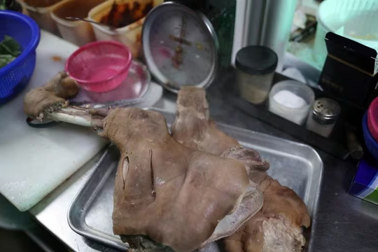 Hàn Quốc thông qua luật cấm ăn và bán thịt chó