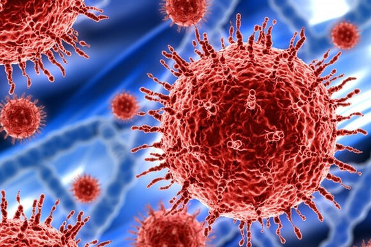 5 loại vi khuẩn, virus gây ung thư hàng đầu hiện nay