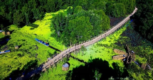 Khu rừng nằm lênh đênh giữa mặt nước được ví như ‘lá phổi xanh’ của hệ thống sinh quyển Tây Nam Bộ, bên trong chứa cây cầu tre xuyên rừng dài nhất Việt Nam
