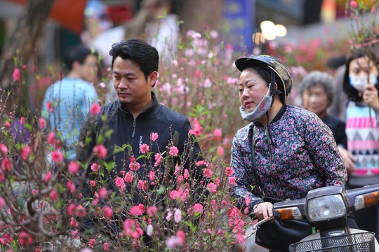 Hà Nội công bố đường dây nóng phản ánh về lễ hội trong dịp Tết Nguyên đán