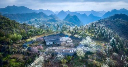 Bản làng nhỏ nép mình giữa núi đồi của cao nguyên đá Đồng Văn, mùa hoa đào nở đẹp đến mức không thể rời mắt