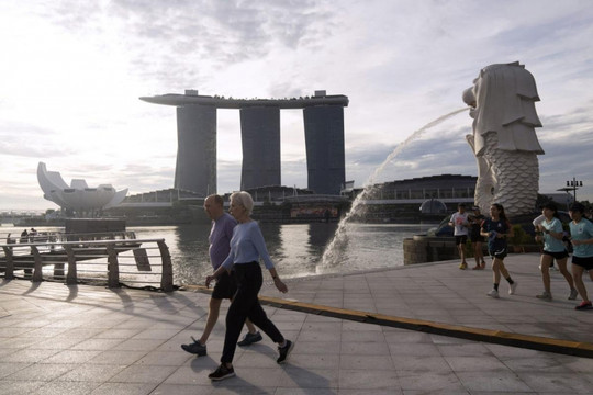 Quỹ đầu cơ Singapore chưa từng lỗ nhưng lại phải đóng cửa vì cố 'bắt đáy' chứng khoán Trung Quốc