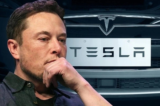Elon Musk: Xe điện Trung Quốc sẽ 'hủy diệt' mọi đối thủ trên thế giới nếu không có rào cản thương mại
