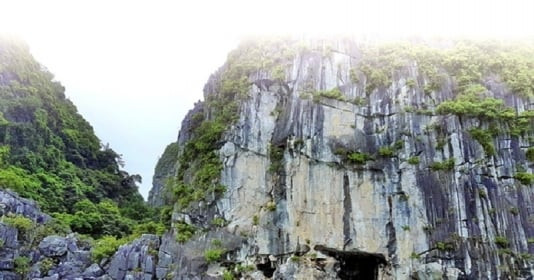 Khám phá hang động là tiên cảnh trong lòng Di sản thế giới rộng gần 700m2, vách đá có loài thạch sùng quý hiếm