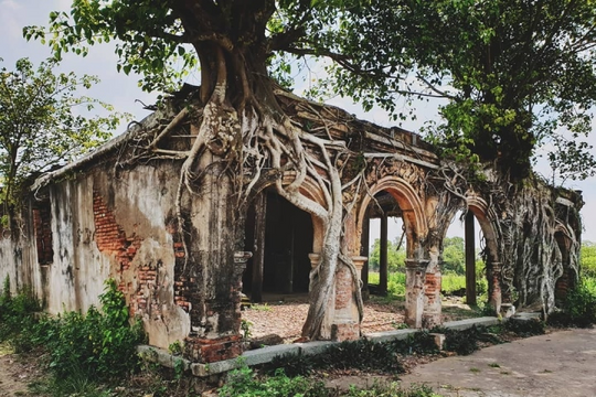 Bí ẩn ngôi đình thiêng nằm trong lòng cây bồ đề ở quê hương bà Hoàng quyền lực nhất triều Nguyễn, trăm năm vẫn nguyên vẹn dù bị bỏ hoang