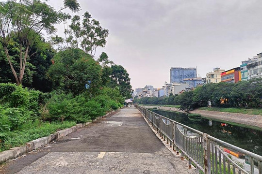 Hà Nội sắp có làn đường dành riêng cho xe đạp
