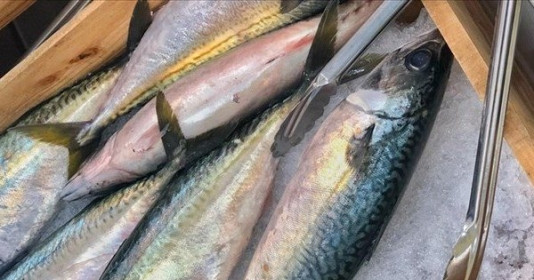 Phát hiện loại cá giá rẻ chợ Việt có sẵn, chứa nhiều omega 3 hơn cá hồi, giúp ổn định đường huyết và bồi bổ tim cực tốt
