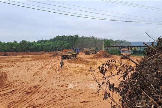 Quảng Trị: Phát hiện vụ đào lấy đất rừng sản xuất trái phép quy mô lớn