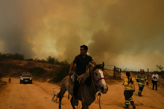Cháy rừng khiến 46 người thiệt mạng tại Chile
