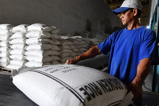 Nhiều doanh nghiệp trúng thầu lớn, giá gạo Việt xuất khẩu vẫn tiếp đà giảm