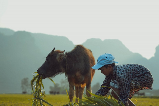 Những con số ấn tượng về làng du lịch tốt nhất thế giới nơi rốn lũ Tân Hoá