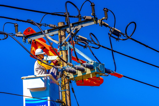 Tổng công ty Điện lực miền Nam lên phương án đảm bảo điện dịp Tết Giáp Thìn