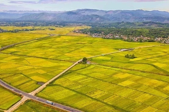 Nơi được gọi là 'vựa lúa' của Quảng Ngãi chuẩn bị có thêm hai khu đô thị mới diện tích lên tới 1.200ha