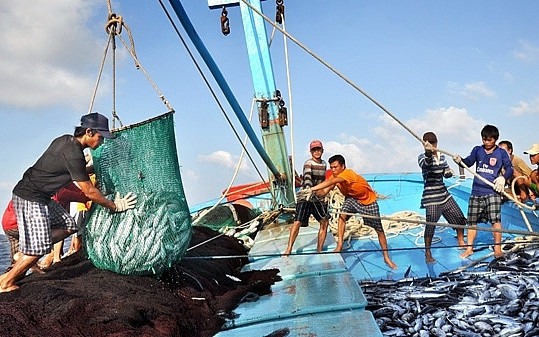 Đến tháng 4/2024 không còn tình trạng tàu cá Việt Nam đi khai thác hải sản trái phép