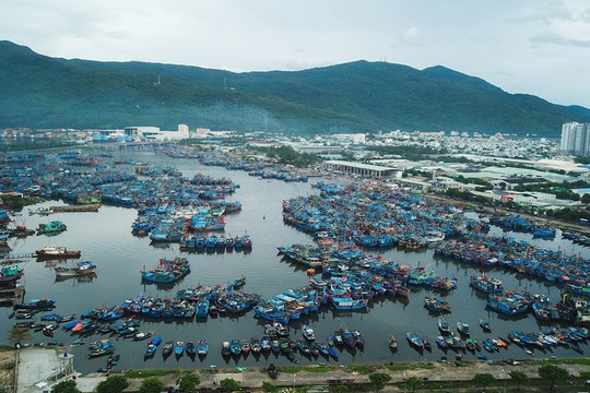 Đà Nẵng chi 250 tỷ đồng để biến cảng cá lớn nhất miền Trung thành địa điểm du lịch