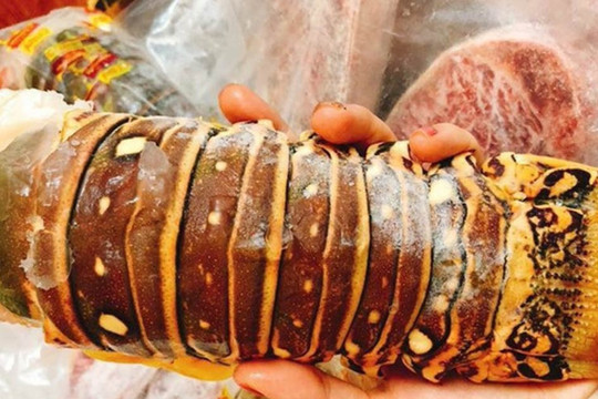 Sự thật đuôi tôm hùm Úc giá 350.000 đồng/kg
