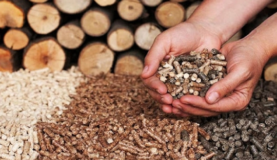 Một doanh nghiệp muốn chi hơn 465 tỷ đồng làm nhà máy viên gỗ nén tại Quảng Trị